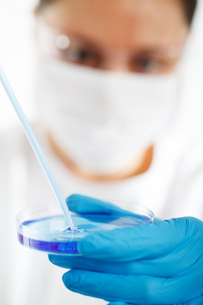 Laboratory and study sample review